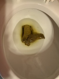 a toilet bowl with a piece of toilet paper in it