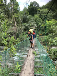 a group of people crossing a suspension bridge in the jungle