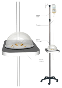 an image of an iv stand with a plate on it