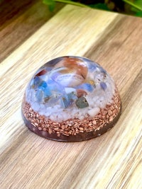a glass dome with sand and seashells on it