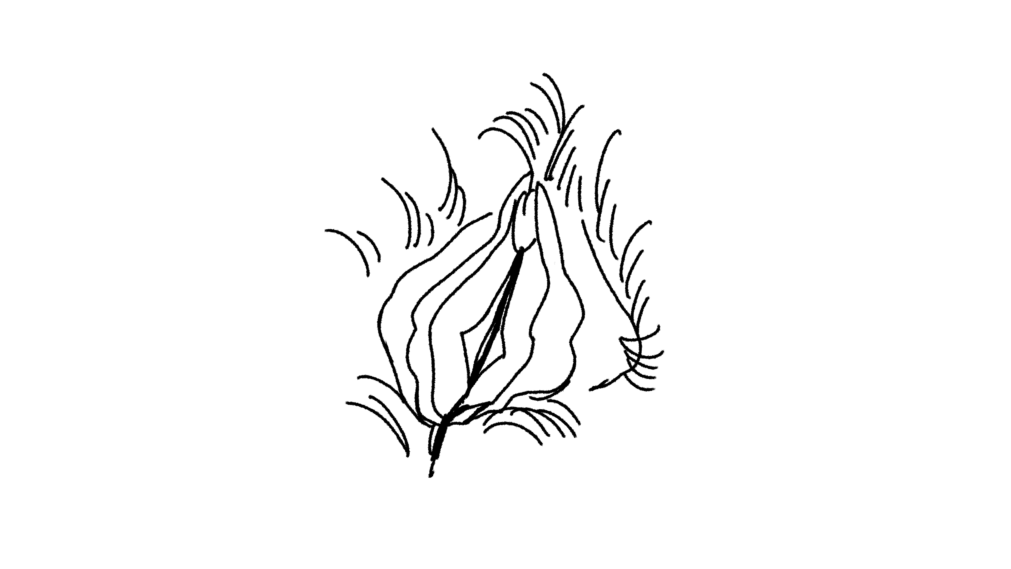 a black and white drawing of a flower