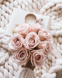 a hand holding a bouquet of pink roses and a book