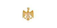 a golden eagle on a black background