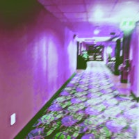 purple carpet in a hallway