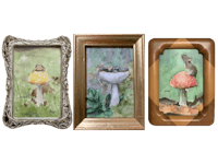 three framed paintings of squirrels and mushrooms