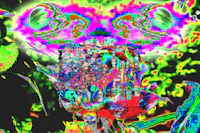 a psychedelic image of a flower