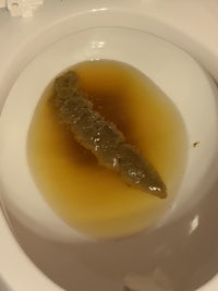 a toilet with a brown substance in it