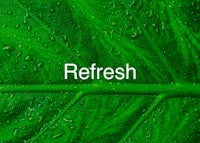 a green leaf with the word refresh on it