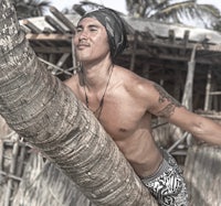 a man on a surfboard leaning on a palm tree