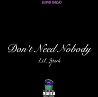 don't need nobody by l l spark