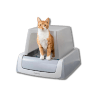 a cat sitting on top of a litter box