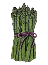 a sticker with a bunch of asparagus tied with a ribbon