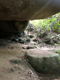 a narrow passage with rocks and trees in the background