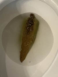 a toilet bowl with a fish in it