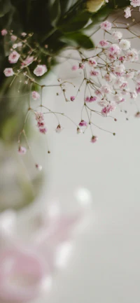 pink flowers in a vase on a table
