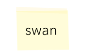 a piece of paper with the word swan on it