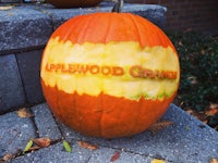 a pumpkin carved with a message on it