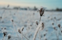 a field covered in snow with a blue sky in the background