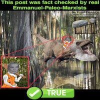 the post was fact checked by real emmanuel paleomarsists