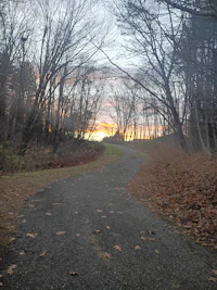 a path through a wooded area at dusk