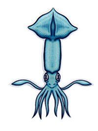 a blue squid with tentacles on a black background