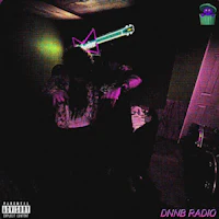 the cover of the album dinb radio