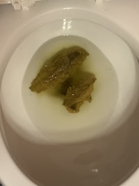 a toilet bowl with a piece of meat in it