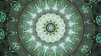 a green and white circular pattern in the middle of a room