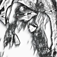 a black and white drawing of a bird