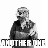 an otter with the caption another one - made w/ imgflip meme maker