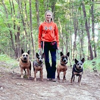 four dogs standing on a trail in the woods