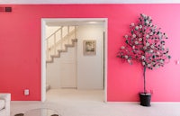 a living room with a pink wall and a tree