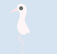 a pink bird standing on a blue background