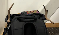 a backpack with antlers on it