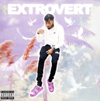 the cover of extrovert