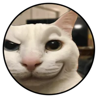 a white cat with a smile on its face