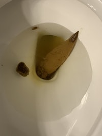 a toilet with a piece of toilet paper in it