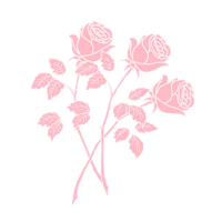 three pink roses on a black background