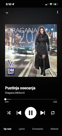 dragana music player - screenshot