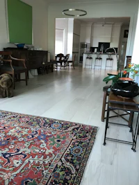 a living room with a rug on the floor