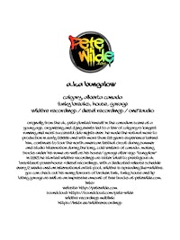a flyer with the words'steet waves'on it
