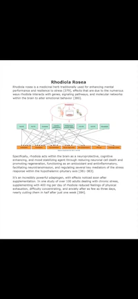 a diagram showing the structure of a network