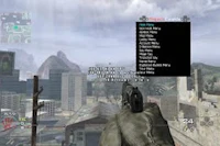 a screenshot of a call of duty game