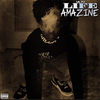 the cover of the life amazing album