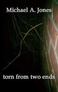 torn from two ends by michael a jones