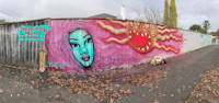 a graffitied wall with a woman's face on it