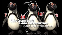 three penguins with the words video development radio distribution