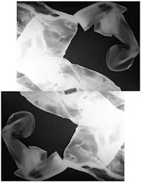 a black and white image of a woman's body