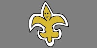 the new orleans saints logo on a gray background