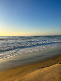 an image of a beach with the ocean in the background